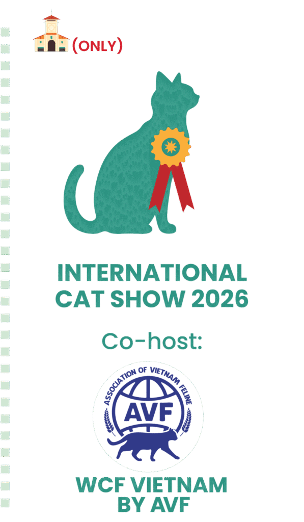 Artboard 9 copy 6@4x