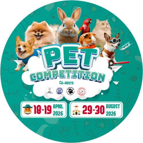 Artboard 2@2x Artboard 2@2x