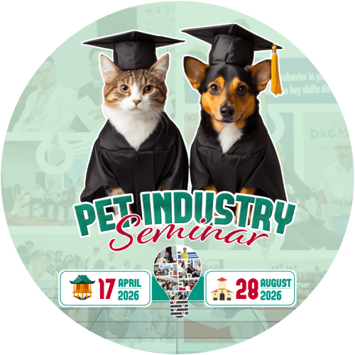 Artboard 3 copy@2x Artboard 3 copy@2x