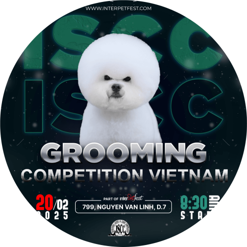 Untitled design (4) Untitled design (4)